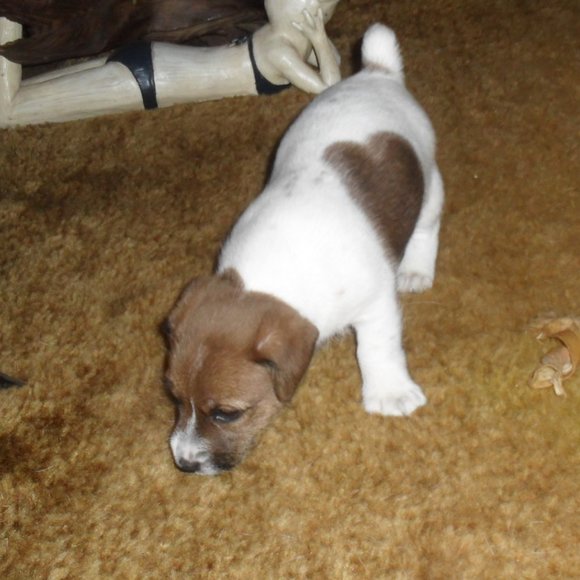 Thanks for shopping my closet!!! - Picture 12 of 16